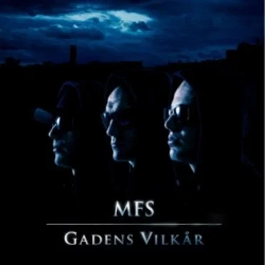 Gadens Vilkår
