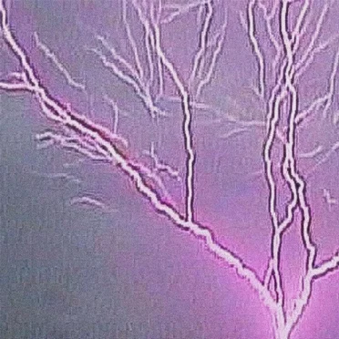 coma