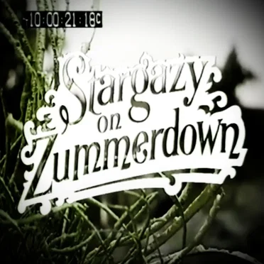 Stargazy on Zummerdown by The Heartwood Institute - album cover