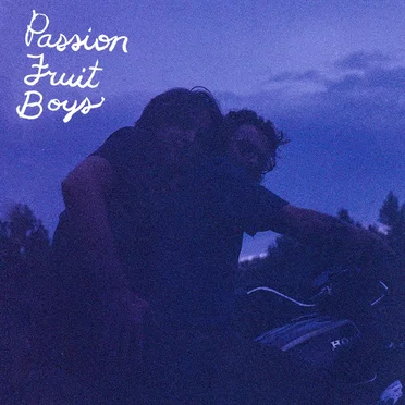 Passion Fruit Boys by Passion Fruit Boys - album cover