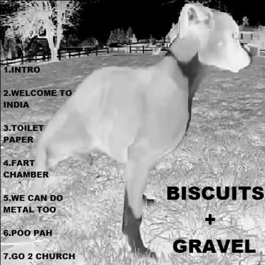 Biscuits + Gravel by chocolate - album cover