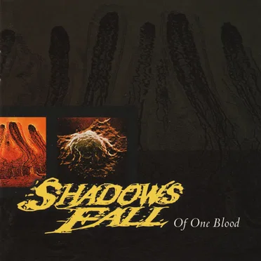 Of One Blood