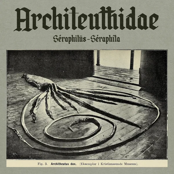 Architeuthidae