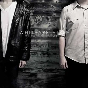 Velvet Mustache by White Apple Tree - album cover