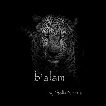 b’alam by Solis Noctis - album cover