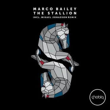 The Stallion by Marco Bailey - album cover