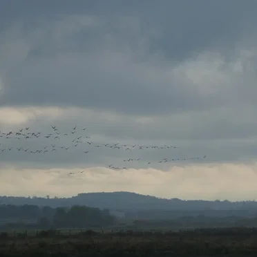 longplay (infinite winter)