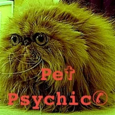 Pet Psychic