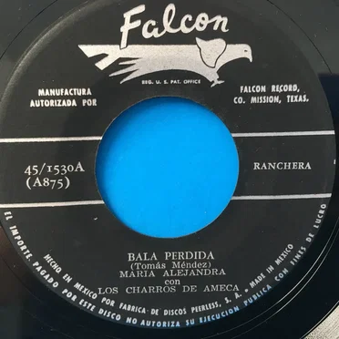 Nada perdimos / Bala perdida