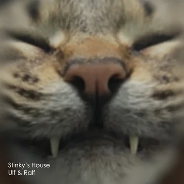 Stinky’s House