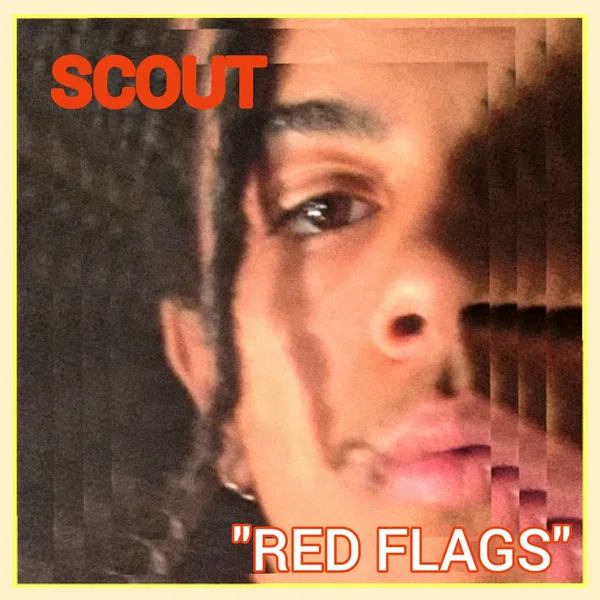 Red Flags