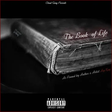 Book of Life, Vol. 1 by AyeKay! - album cover