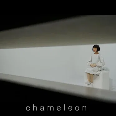 Chameleon by Capa - album cover