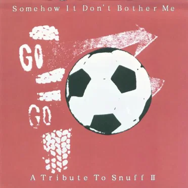 Somehow It Don't Bother Me... A Tribute To Snuff II by Various Artists - album cover