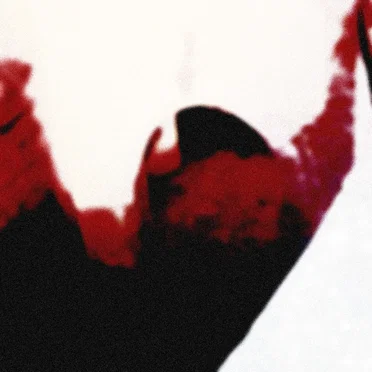 Die schwarze Leinwand by Hexen stehen immer zwischen Birken - album cover