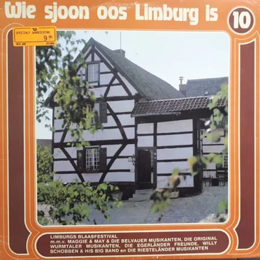Wie sjoon oos Limburg is, 10 by Various Artists - album cover
