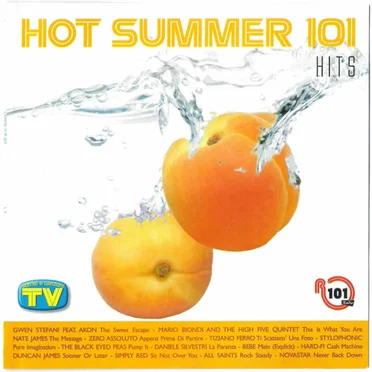 Hot Summer 101 - Hits by Various Artists - album cover