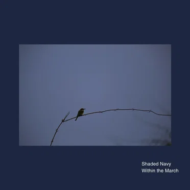 Within the March by Shaded Navy - album cover