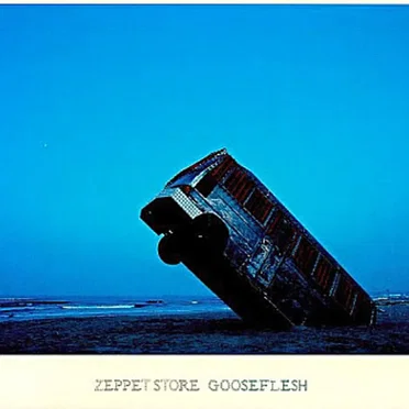 Gooseflesh by ZEPPET STORE - album cover