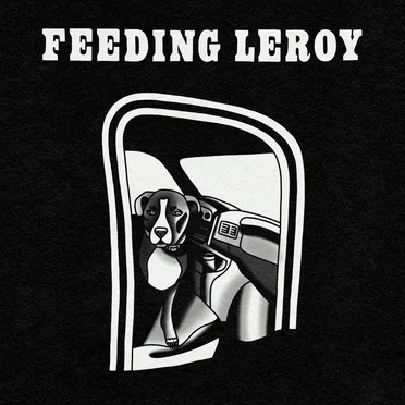 Comes a Time by Feeding Leroy - album cover