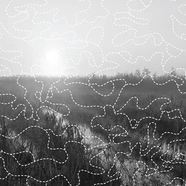 Soundscapes of summer