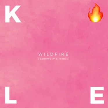 Wildfire (Sammy MZ Remix)