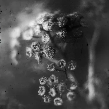 Hellstorm of Flaming Nothingness