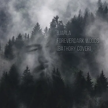 Foreverdark Woods