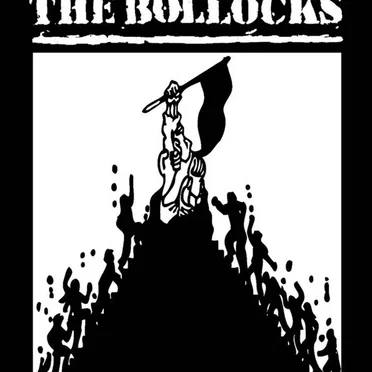 Revolution by The Bollocks - album cover