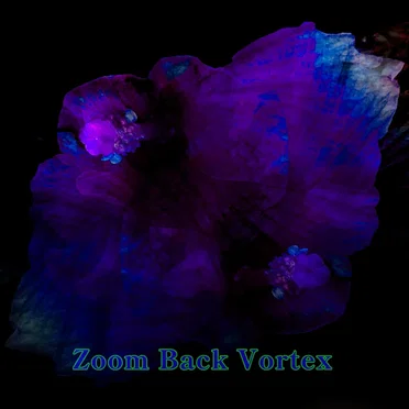 Zoom Back Vortex