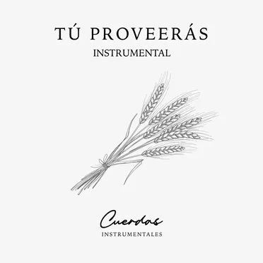 Tú proveerás instrumental by Cuerdas Instrumentales - album cover