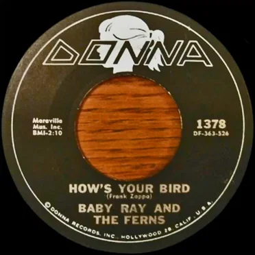 How's Your Bird / The World's Greatest Sinner by Baby Ray & The Ferns - album cover
