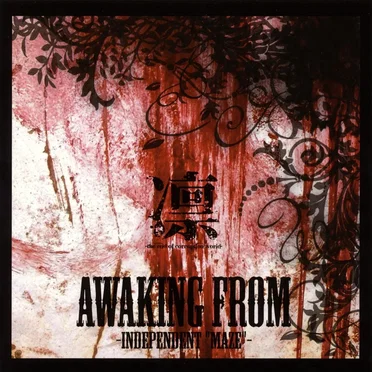 AWAKING FROM -INDEPENDENT “MAZE”- by 凛 -the end of corruption world- - album cover