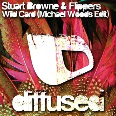 Wild Card (Michael Woods Edit) by Flippers - album cover