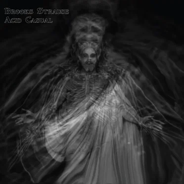 Acid Casual by Brooks Strause - album cover