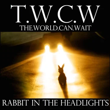Rabbit in the Headlights by The World Can Wait - album cover