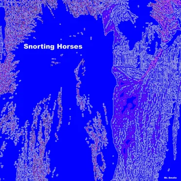 Snorting Horses by Mr. Smolin - album cover
