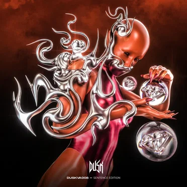 DUSK VA008 (SENTENCE EDITION) by Various Artists - album cover