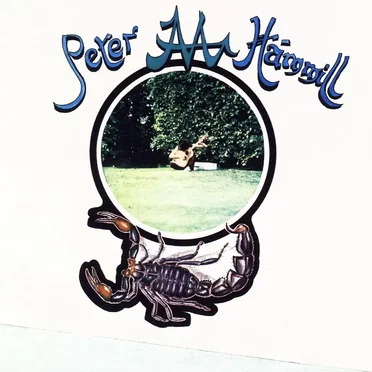 Chameleon in the Shadow of the Night