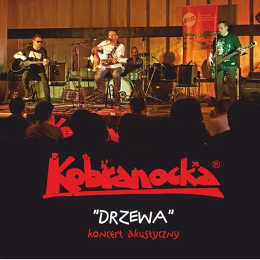 Drzewa Koncert Akustyczny