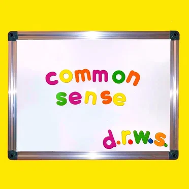 common sense by d.r.w.s. - album cover
