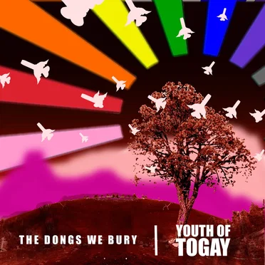 The Dongs We Bury by Youth of Togay - album cover