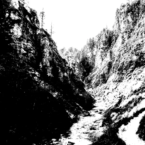 96th