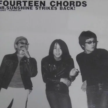 Dr.Sunshine Strikes Back! by Fourteen Chords - album cover