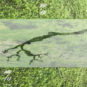 緑枝/green branch