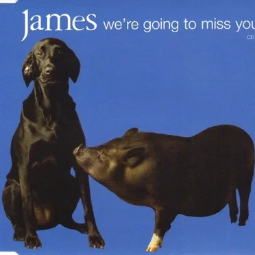 We're Going to Miss You