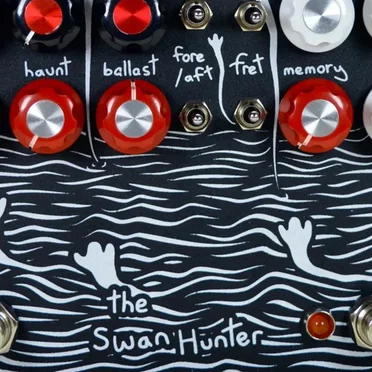 The Swan Hunter by Emily Hopkins - album cover