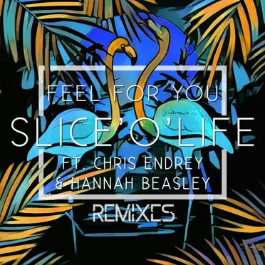 Feel for You [Remixes]