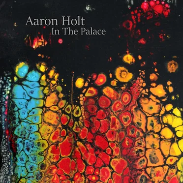 In the Palace by Aaron Holt - album cover