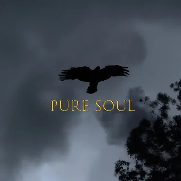 Pure Soul by Tevalik - album cover
